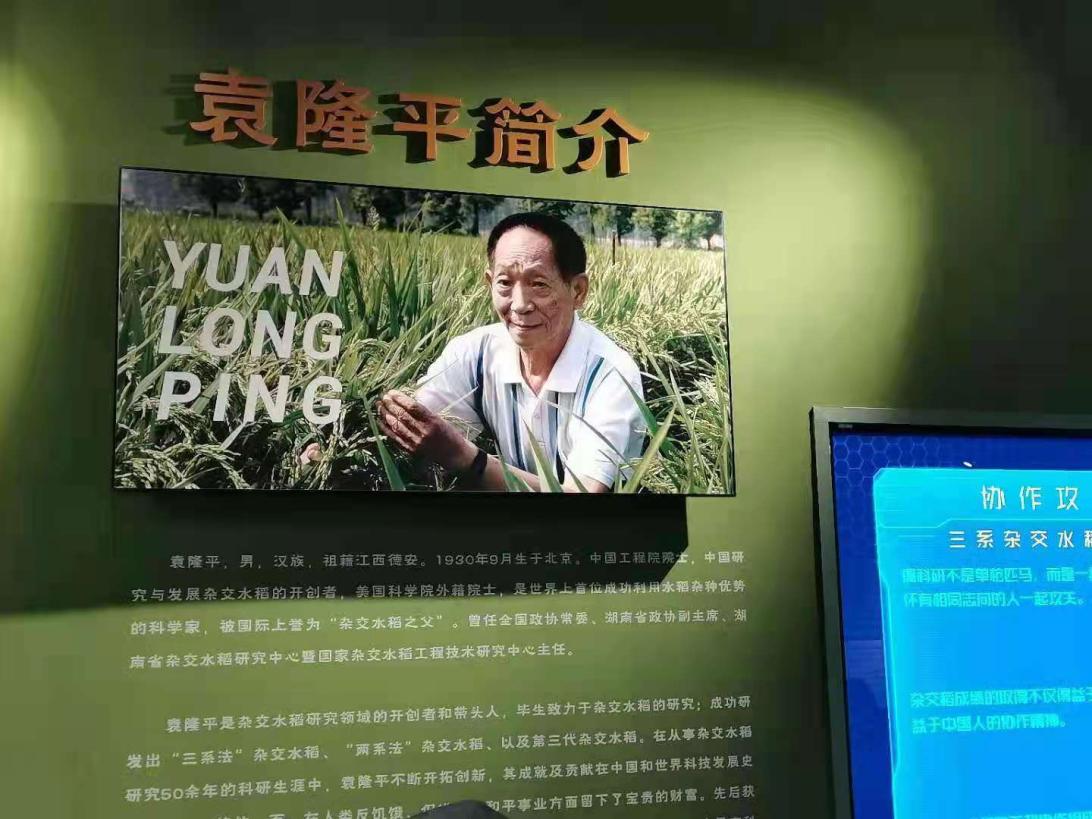 出租女友
师生悼念袁隆平院士：巨星陨落，精神长存！